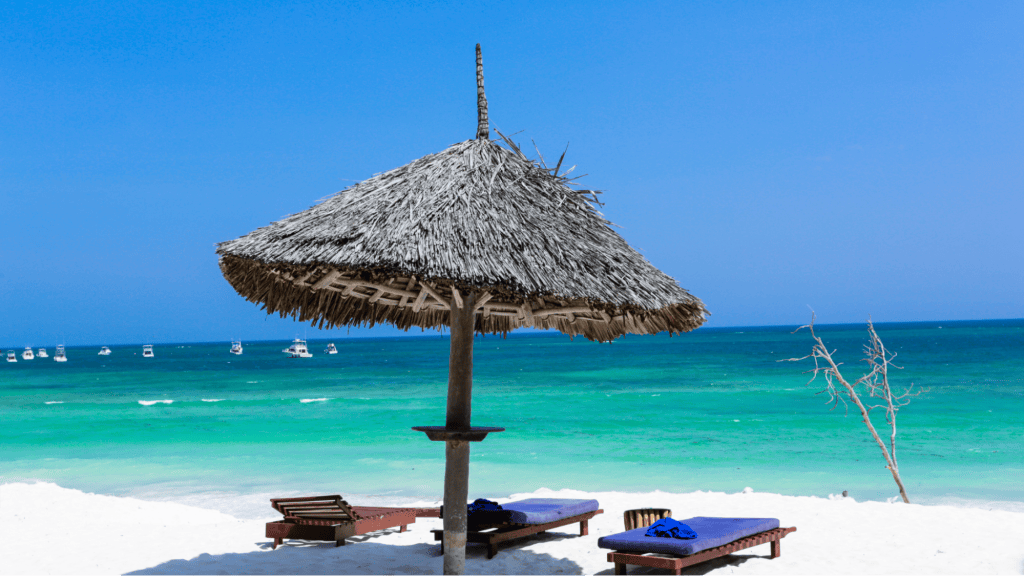 beach bed by the ocean